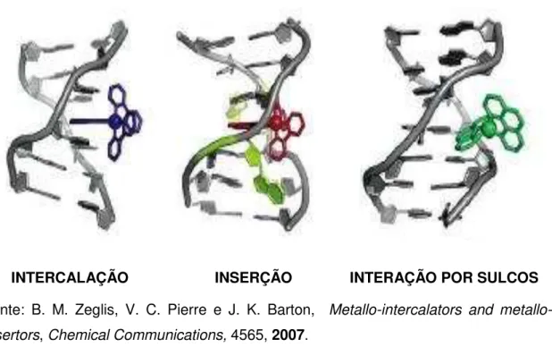 Figura 5. Formas de interação entre complexos metálicos e DNA sem a formação de  ligações covalentes 69 