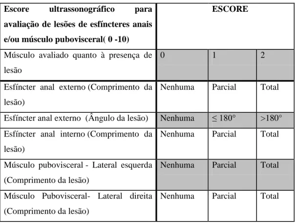 Figura  8-  Escore  para  pontuação  de  lesões  de  esfíncteres  anais  e/ou  músculo  pubovisceral através da ultrassonografia endovaginal e anorretal tridimensional (0-10) 