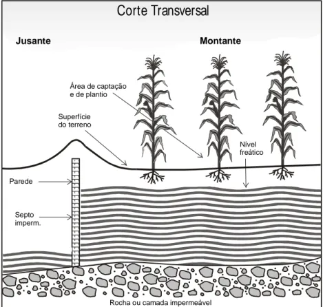 Figura 2 - Desenho esquemático de exploração de barragem subterrânea  Fonte: BRITO et al., 1989