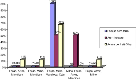 Gráfico 3 – Principal ocupação e tamanho da propriedade  Fonte: Dados retirados da pesquisa de campo realizada em 2009