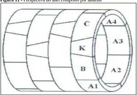 Figura 11 - Perspectiva do anel composto por aduelas 