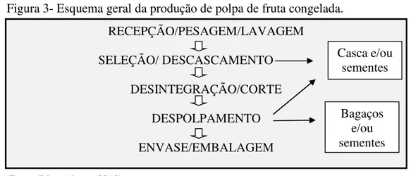 Figura 3- Esquema geral da produção de polpa de fruta congelada. 