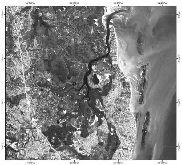 Figura 1 ­ Visão geral do estuário do rio Timbó. Fonte: ITEP ­ Labgeo (imagem do satélite SPOT 5).