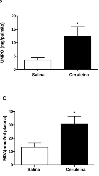 Figura 9 - Efeito da ceruleína sobre a atividade de MPO pancreática e pulmonar e sobre  os níveis de MDA plasmático
