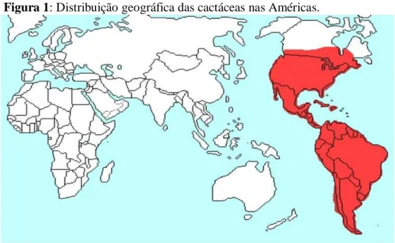 Figura 1: Distribuição geográfica das cactáceas nas Américas. 
