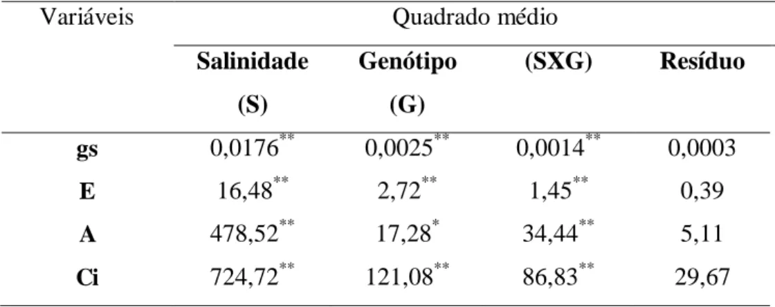 Tabela  5  -  Valores  dos  quadrados  médios  da  condutância  estomática  ( gs ), transpiração  ( E ),  fotossíntese ( A ), concentração interna de CO 2  ( Ci ) e  do teor relativo de clorofila (SPAD)  de  plantas de sorgo sacarino submetidas a níveis cr