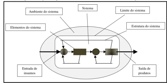 Figura 2   Representação esquemática de um sistema e suas interações. 
