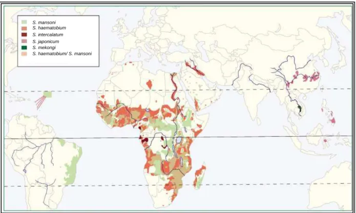 Figura 1 - Distribuição global das várias espécies de Schistosoma. 