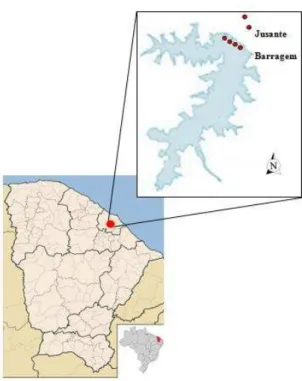 Figura  3.1  –   Localização  do  Reservatório  Gavião  e  dos  pontos  utilizados  para  a  coleta  de  macroinvertebrados