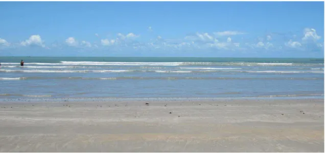 Figura 10. Faixa de praia plana com ausência de afloramentos de rochas e indicadores  de impactos antropogênicos