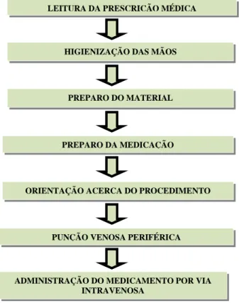 Figura  2  –  Fluxograma  com  as  etapas  que  compõem  o  processo  de  administração  de  medicamentos por via intravenosa