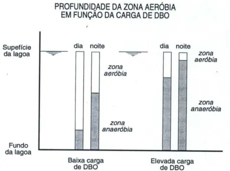 Figura 5 - Influência da carga da lagoa e da hora do dia na espessura das  camadas aeróbias e anaeróbias