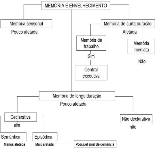 Figura 10 – Memórias mais afetadas com o envelhecimento 