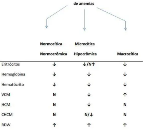 Figura  1:  Classificação  laboratorial  das  anemias  de  acordo  com  os  índices  hematimétricos