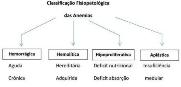 Figura 2: Classificação fisiopatológica das anemias. Adaptado de Naoum, 2010. 