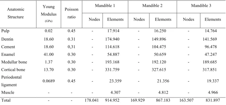 Table 01. Mechanical properties, references of number of nodes and elements in each mask reconstructed