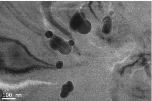 Fig  2.1 - Micrografia de campo claro de MET de Zr-2,5Nb como recebido com  presença de precipitados de Nb [7]