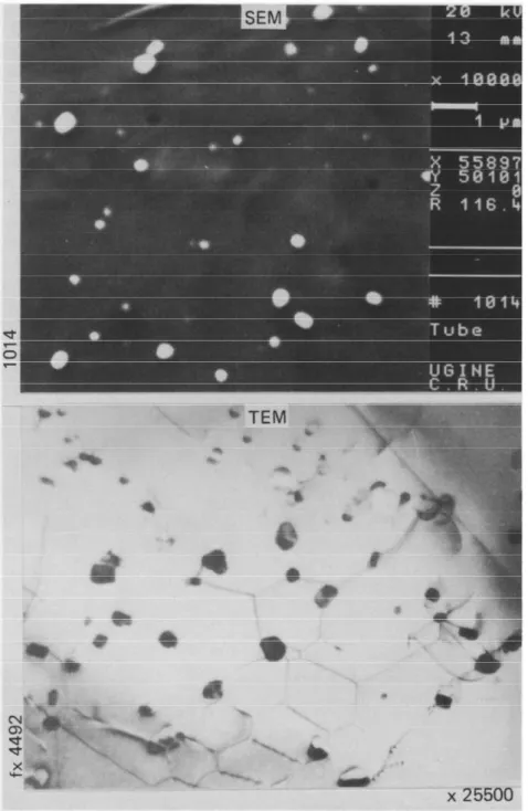 Fig.  2.22  -  Micrografia  por  transmissão  de  elétrons  evidenciando  a  distribuição  de  precipitados na liga Zircaloy -4 [26]