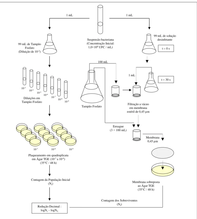 Figura  11  –   Procedimento  do  método  da  suspensão  adaptado  (OKAZAKI,  2003)  para  desinfetante  à  base  de  quaternário de amônia com concentração  ≥  200 mg/L
