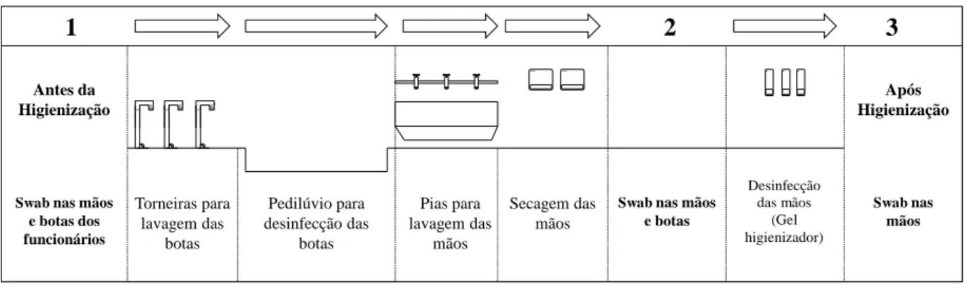 Figura 12  –  Fluxograma do procedimento de higienização e pontos de coletas das amostras das mãos e das botas  dos manipuladores em um Entreposto de Pescado em Fortaleza, Ceará