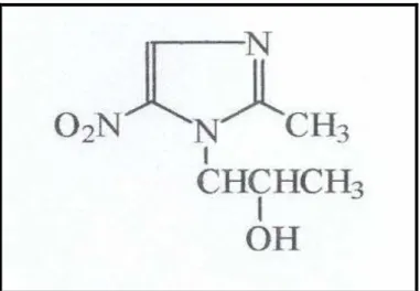 Figura 7 - Estrutura Química do Secnidazol 
