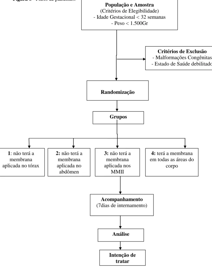 Figura 6 - Fluxo de pacientes. 