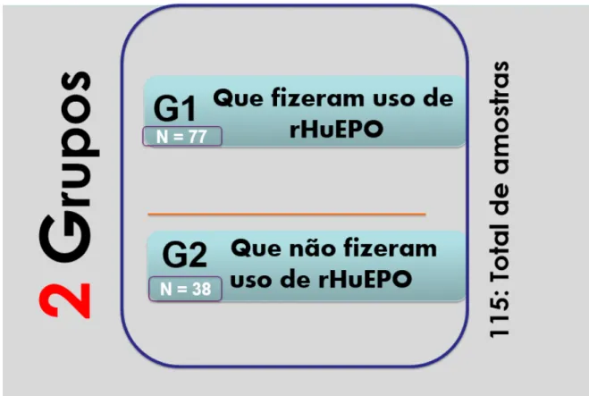 Figura 9 - Total de participantes e grupos da pesquisa 