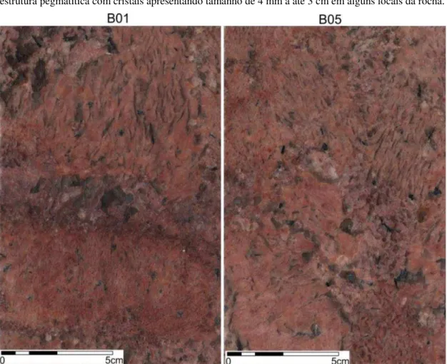 Figura 3.1 – A amostra do Bordeaux apresenta coloração vermelha, clara e escura, a marrom avermelhada,  estrutura pegmatítica com cristais apresentando tamanho de 4 mm a até 3 cm em alguns locais da rocha