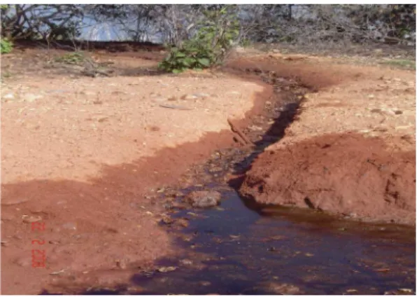 FIGURA 1. Exemplo de degradação dos recursos  hídricos provocada pela disposição inadequada das  vísceras.