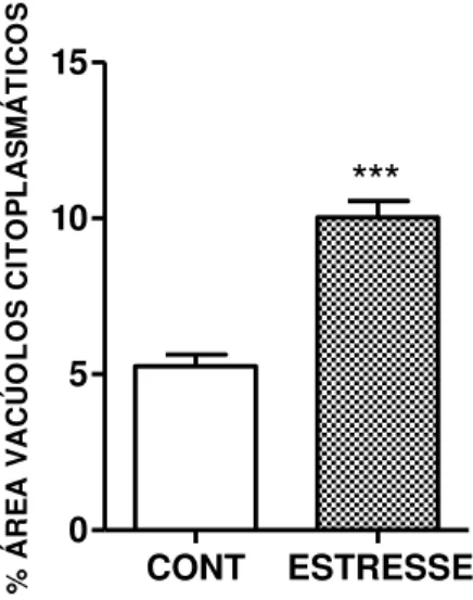 Figura  15  –   Quantificação  da  porcentagem  da  área  (pixels)  de  vacúolos  citoplasmáticos  no  córtex das glândulas adrenais de ratos submetidos ao estresse emocional 