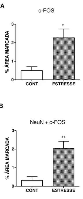 Figura 19  –  Quantificação da percentagem a área marcada (pixels) da imunoexpressão de c- c-Fos no trato espinhal trigeminal de animais submetidos ao estresse emocional 