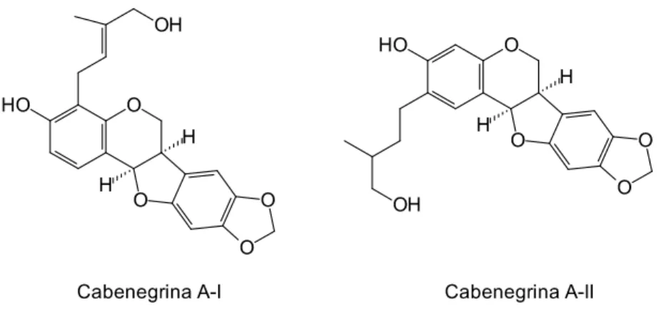 Figura  5.  Estruturas  das  cabenegrinas  A-I  e  A-II,  primeiramente  isoladas  por  Nakagawa  et  al