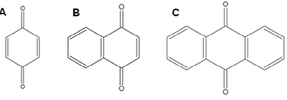 Figura  10:  Estruturas  dos  mais  relevantes  grupos  de  quinonas:  benzoquinona  (A),  naftoquinona  (B)  e  antraquinona (C)