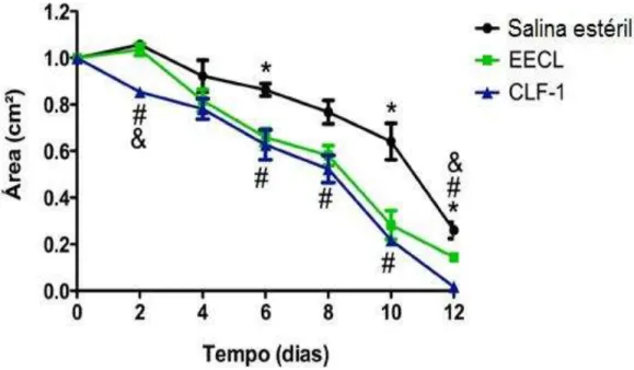 Gráfico 2  –  Efeito do tratamento com EECL e CLF-1 de  Combretum leprosum  na evolução  das áreas das lesões induzidas em camundongos