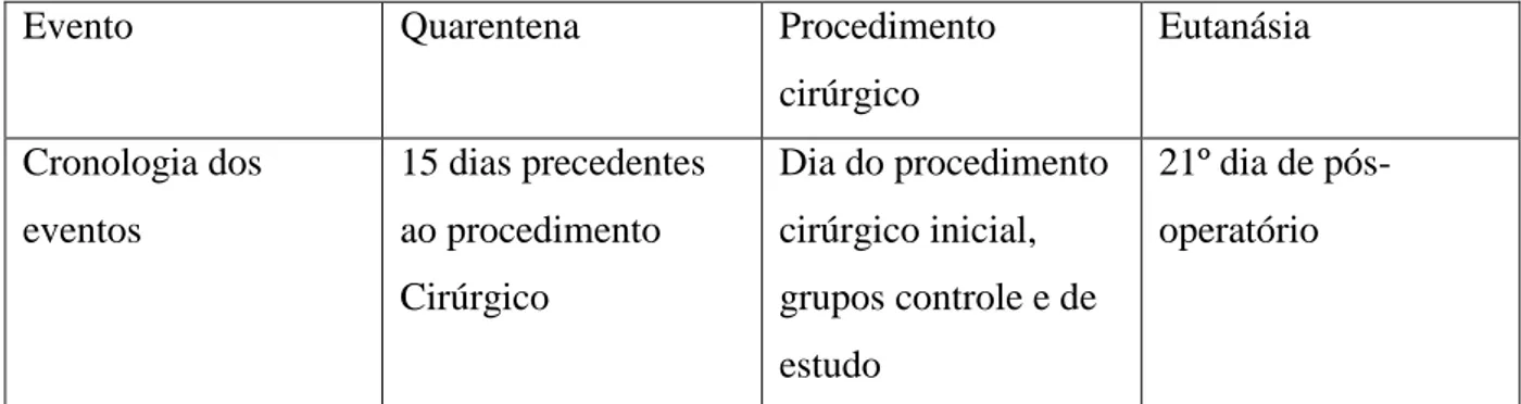 Figura 11  –  Cronologia do experimento. 