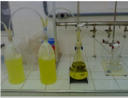 Figura 9: Aparato experimental para geração de dióxido de cloro 
