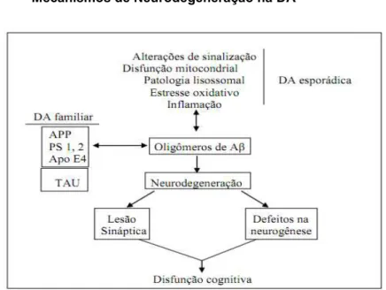 Figura 2  – Mecanismos de Neurodegeneração na DA 