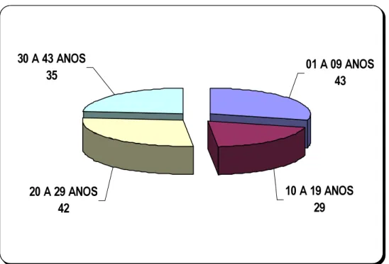 Gráfico 2 - Apresentaçao de resultados: Dados Sociodemográficos - Tempo de  Serviço  20 A 29 ANOS 42 30 A 43 ANOS35 10 A 19 ANOS29 01 A 09 ANOS43