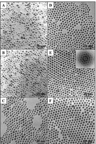 Figura 1.4: Imagens via TEM de nanocristais de cobalto para v´arias dimens˜oes diferentes ((A)30%, (B)18%,(C)13%,(D)12%,(E)12%,(F)8%).