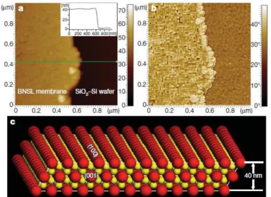 Figura 1.5: A) Imagem via AFM de uma SRBN de AlB2 com 15nm de nanocristal de Fe3O4 e 6nm de nanocristais de FePt