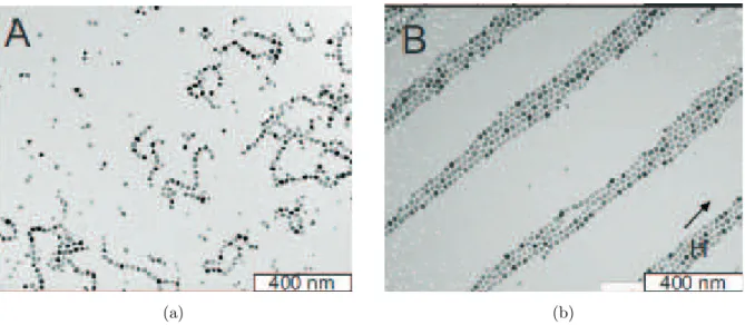 Figura 1: Imagem t´ıpica in situ crio-MTE(Microscopia de Transmiss˜ao eletrˆonica) de dispers˜ao de F e 3 O 4 em C 10 H 18 (a) Sem campo magn´etico (b) Com a aplica¸c˜ao de um campo magn´etico homogˆeneo de (0.2 T ), a transi¸c˜ao ocorre para a coluna igua