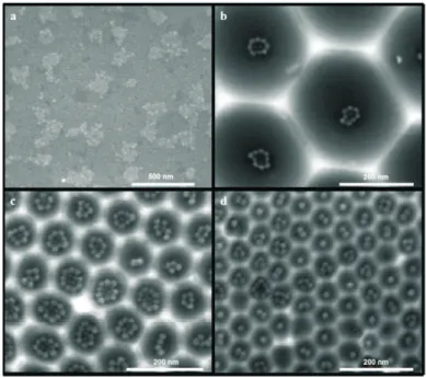 Figura 3: Imagens obtidas por MEE das NF nos substratos de Al (a) Substrato de Si preparado para efeito de compara¸c˜ao