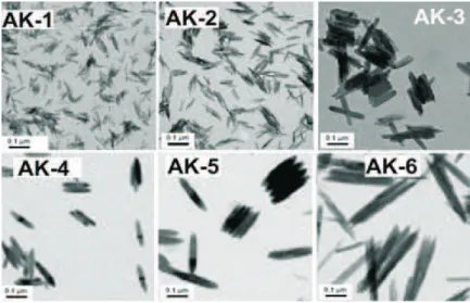 Figura 8: Micrografia de MTE de nanobast˜oes (45 a 450 nm). Figura extra´ıda de [8].