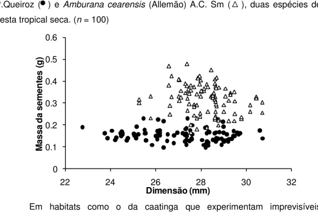 Gráfico  1.3  –   Massa  e  dimensão  de  sementes  de  Poincianella  pyramidalis  (Tul.)  L.P.Queiroz  (    )  e Amburana  cearensis  (Allemão)  A.C