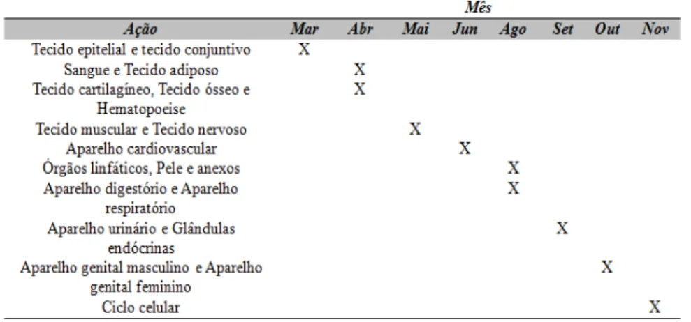 Tabela 1 – Programação do Atlas Virtual Interativo de Histologia e Biologia Celular 