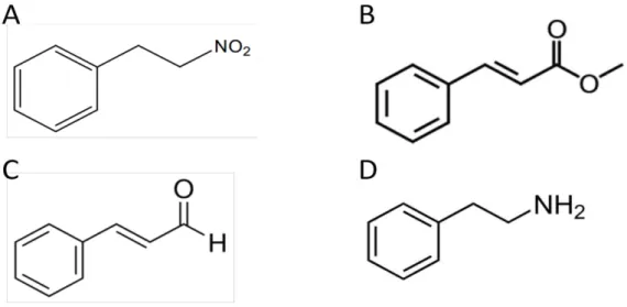 Figura 2 - Estrutura química do 1-nitro-2-feniletano (A), cinamato de metila (B),  trans-cinamaldeído (C) e beta-feniletilamina (D)