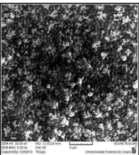 FIGURA 1. Biofilme de S. aureus formado sobre  membrana filtrante capturado por microscopia eletrônica de  varredura (MEV)