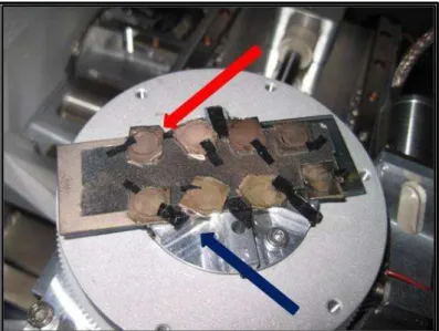 FIGURA 10. Cepas estafilocócicas crescidas por 48 horas sobre lâminas de vidro, após processo de metalização  com cobertura de ouro,  montadas  para a visualização em  microscópio eletrônico de  varredura (seta  vermelha)