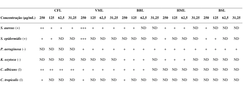 Tabela 5  –  Inibição  do  crescimento  planctônico  de  bactérias  Gram-negativas,  Gram-positivas  e  leveduras  por  lectinas  isoladas  de  Cratylia  floribunda  (CFL),  Vatairea  macrocarpa (VML), Bauhinia bauhinioides (BBL), Bryothamnion seaforthii (