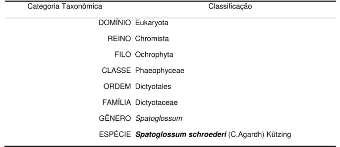Tabela 1  –  Taxonomia da alga marinha Spatoglossum schroederi. 